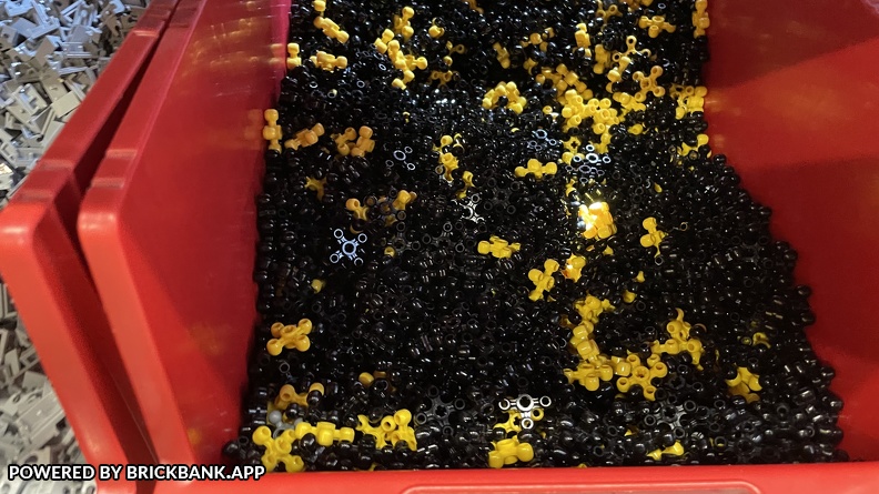 Foto 22-05-21 10-29-53 6891