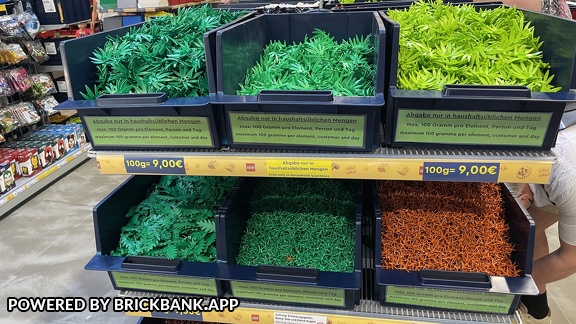 Foto 22-05-21 10-21-42 6785