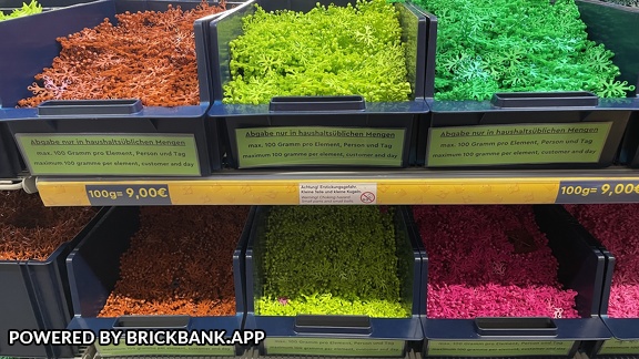 Foto 22-05-21 10-21-33 6783