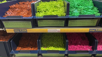 Foto 22-05-21 10-21-33 6783