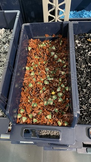 22-09-18 12-35-29 8274