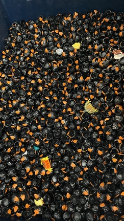 22-09-18 12-36-23 8281