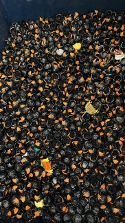 22-09-18 12-36-23 8281