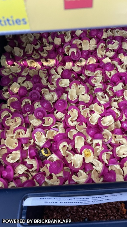 22-09-18 12-36-47 8287