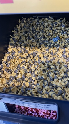 22-09-18 12-36-48 8288