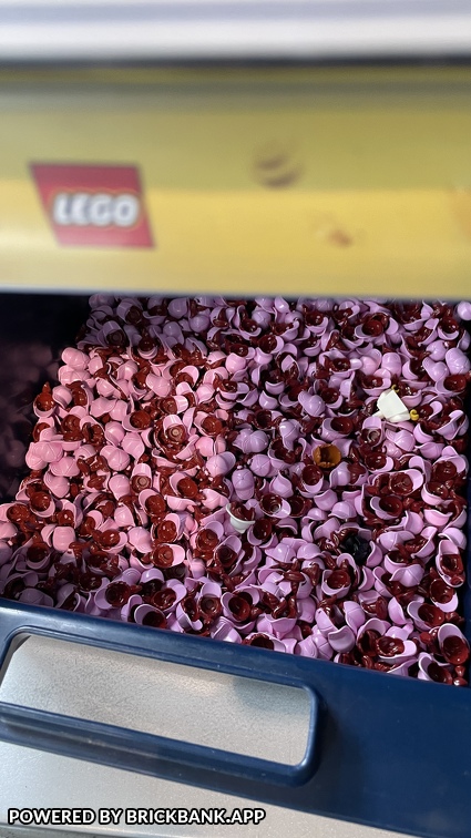 22-09-18 12-36-51 8289