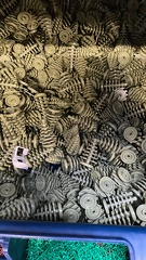 CA6C2929-9866-4E36-86A2-C32E62886083