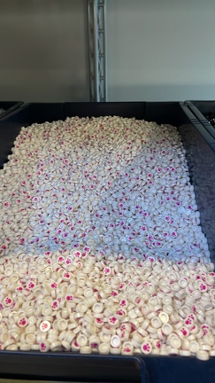 13F0A9D0-55ED-4E51-A55E-39BB56CD4624