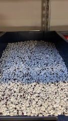 8596EAA1-8FB8-40DC-B58A-E3BB20884839