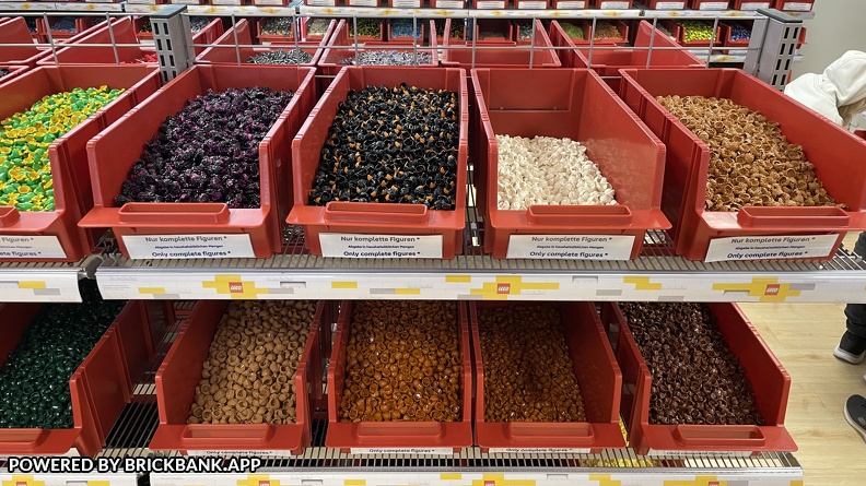 IMG 5581 (2794 visits) IMG 5581