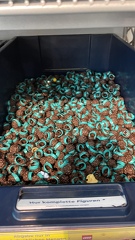 22-09-18 12-36-44 8286