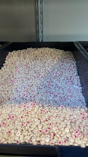 13F0A9D0-55ED-4E51-A55E-39BB56CD4624